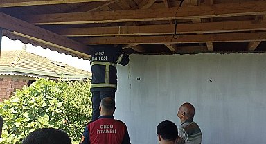 Ordu'da itfaiye ekipleri mahsur kalan yavru kedi ile 4 baykuşu kurtardı