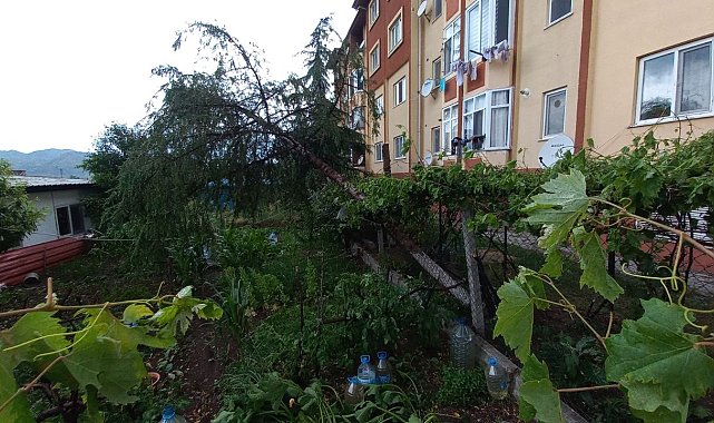 Osmancık'ı fırtına ve sağanak vurdu: Çatılar uçtu, ağaçlar söküldü, caddeler göle döndü