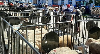 Pazaryeri'nde kurban satış yerine denetleme