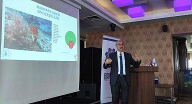 Prof. Dr. Sarı: "Marmara Denizi'nde balık türlerimiz azaldı, habitat kayıpları yaşanıyor"