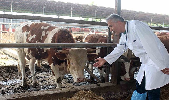 "Kesilen kurban etlerini üst üste koymayın"
