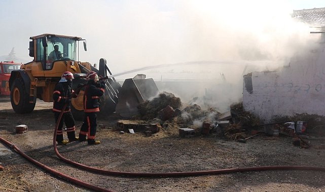 Sakarya'da besi çiftliğinde yangın: 1 kişi dumandan etkilendi