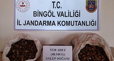 Salep soğanı toplayan kişilere 1 milyon 221 bin lira ceza kesildi