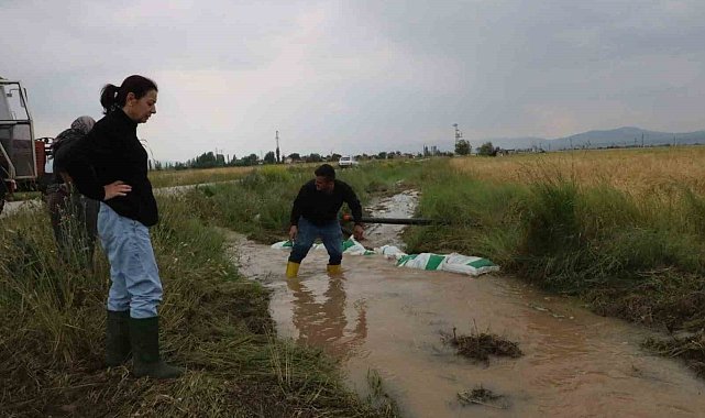 Sandıklı'da sağanak yağış tarım arazilerine zarar verdi