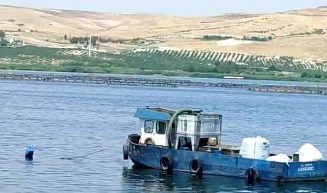 Şanlıurfa'da piknik faciası: 2 ölü, 3 yaralı
