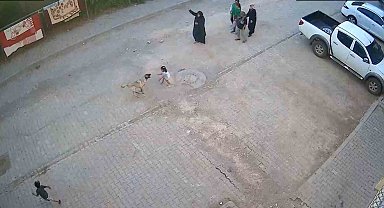 Şanlıurfa'da sokak köpeği ailesiyle yolda yürüyen çocuğa saldırdı