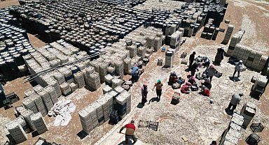 Sarımsak tarlada 15, markette 40 lira