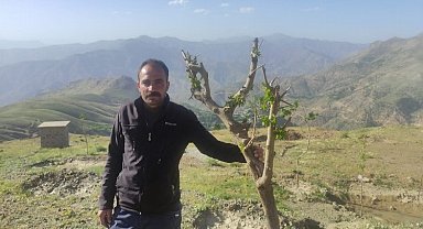 Sason Gölbaşı Yaylası ağaçlandırılıyor