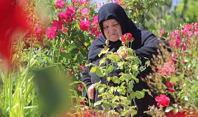 Şehitler bayram arefesinde mezarları başında anıldı