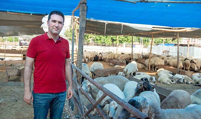Seyhan'da kurban satış ve kesim yerleri belirlendi