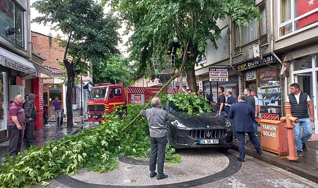 Şiddetli rüzgarda kırılan ağaç dalı, lüks otomobilin üzerine düştü