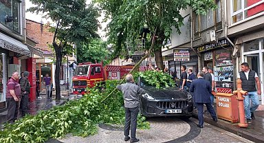 Şiddetli rüzgarda kırılan ağaç dalı, lüks otomobilin üzerine düştü