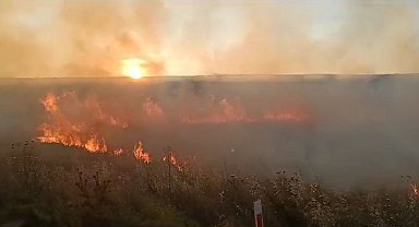 Sigara izmariti Ziraat Odası Başkanının 20 dönüm arpasını küle çevirdi