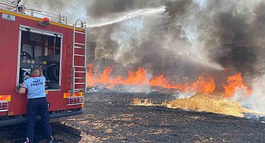 Siirt'te 130 dekar tarım arazisi küle döndü