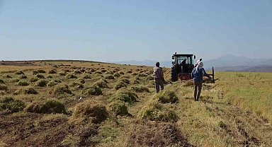 Siirt'te bayramda da hasat sürüyor