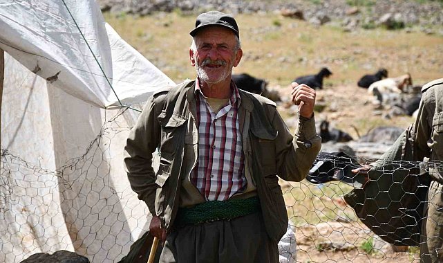Şırnak'ta vatandaşlar kuzu kırpmaya başladı