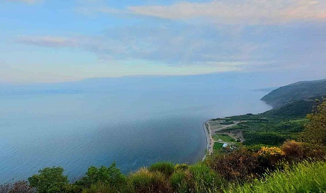 Tekirdağ'da ormanda piknik yapmak yasaklandı