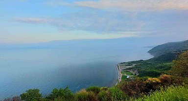 Tekirdağ'da ormanda piknik yapmak yasaklandı