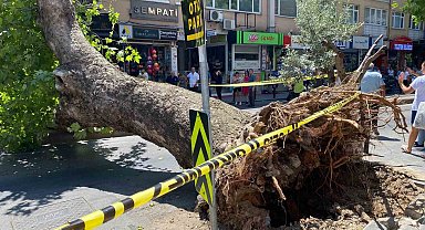 Üsküdar'da asırlık çınar ağacının caddeye devrilmesi kameraya yansıdı