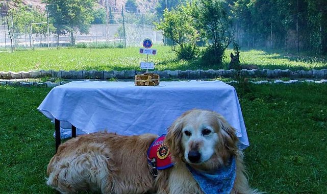 Uyuşturucu arama köpeği 'Altın' pasta kesilerek emekli edildi