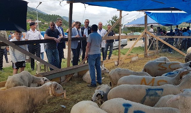 Vali Gürel, kurbanlık pazarını gezdi