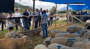 Vali Gürel, kurbanlık pazarını gezdi