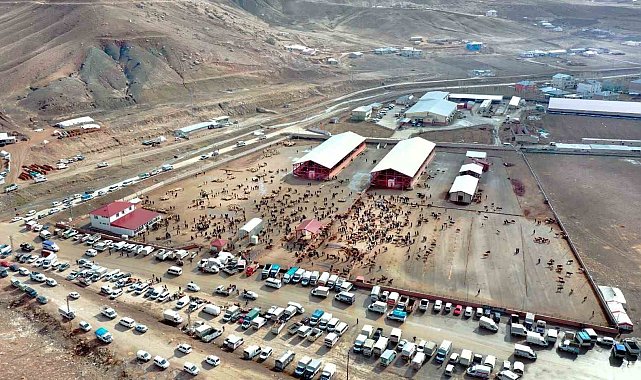 Van'da kurban satış ve kesim yerleri belirlendi
