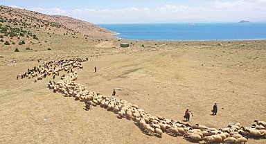 Van'da yaylaya güneş enerjisiyle su ulaştırıldı
