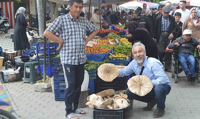 Yağmur yağışları sonrası mantar bereketi