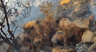 Yangında cesedi bulunmuştu, boğularak öldürüldüğü ortaya çıktı