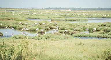 Yaşayan Körfez için dev adım