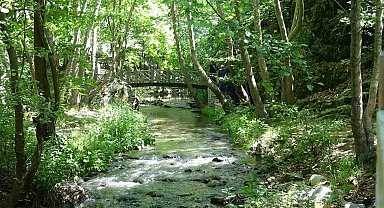 Yılda 40 bin kişi bu kanyonu görmek için yollara düşüyor