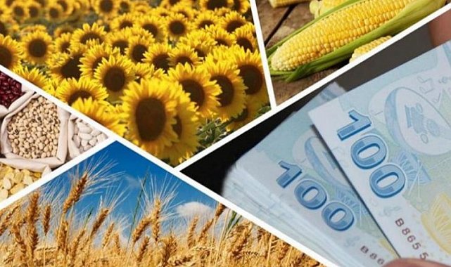 238 milyon TL'lik tarımsal destek hesaplarda