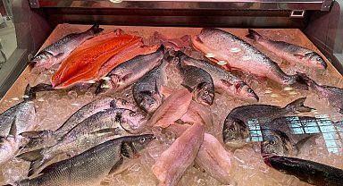 Amerikalıların proteinlerini karşılayacaklar