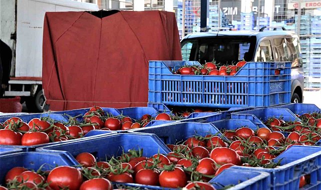 Antalya'da domates miktarı azaldı, fiyat endeksi arttı
