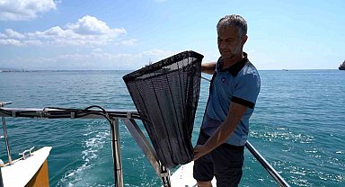 Antalya'da kıyılar, deniz süpürgesi, denetim teknesi, elektronik gemi denetim sistemiyle korunacak