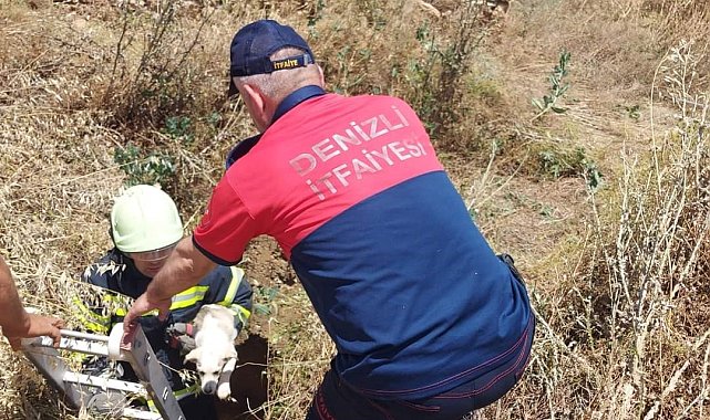 Arazideki kuyuya düşen köpek kurtarıldı