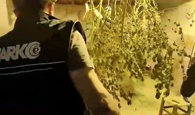 Aydın'da 1 ayda 8 bin gram uyuşturucu ele geçirildi