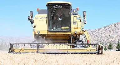 Biçerdöver Başkan hasat yaptı