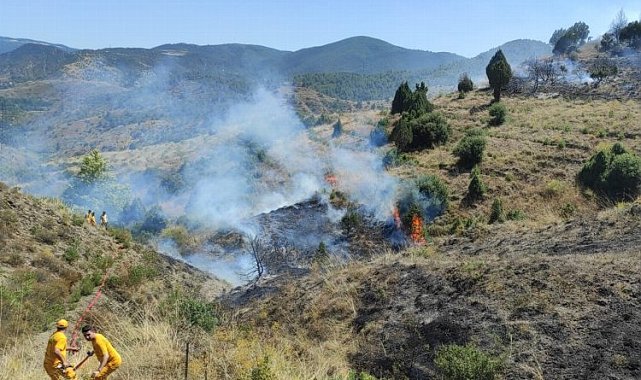 Bilecik Abbaslık'ta orman yangını kontrol altında