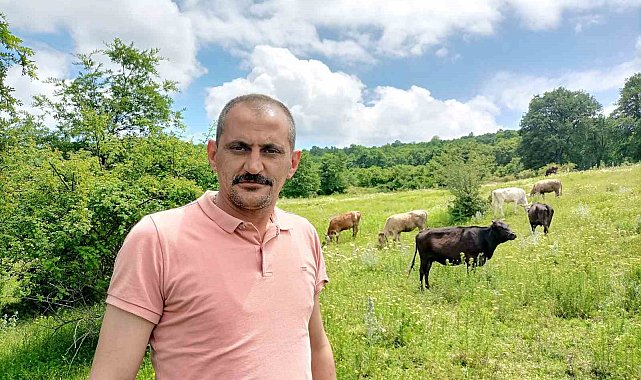 Bilecik'te 12 gün önce kaybolan düvelerden ikincisi de bulundu