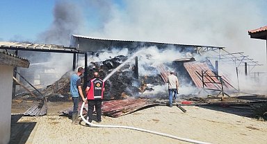 Bilecik'te at çiftliğinde büyük yangın