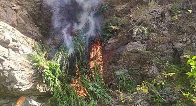 Bingöl'de 3 bine yakın kök yerinde imha edildi!