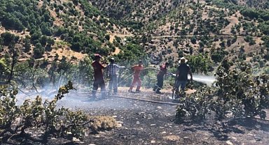 Bingöl'deki orman yangını kısa sürede söndürüldü