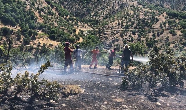 Bingöl'deki orman yangını kısa sürede söndürüldü
