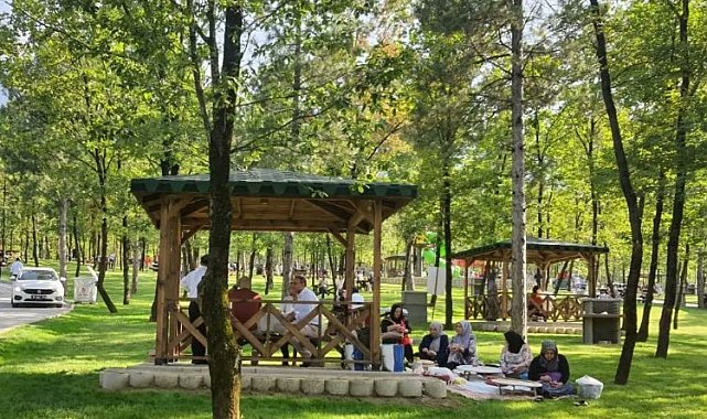 Bursa'da orman yangınlarıyla mücadelede yeni karar