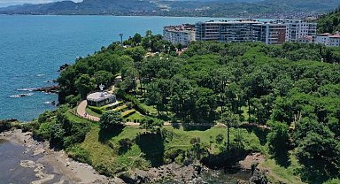 Çamlık vatandaşların gözdesi oldu