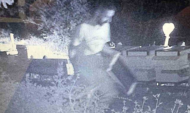 Çanakkale'de Bal Ormanlarına ayıların girmemesi için kurulan foto kapana hırsız takıldı