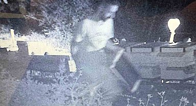 Çanakkale'de Bal Ormanlarına ayıların girmemesi için kurulan foto kapana hırsız takıldı