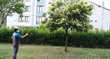 Çayırova'da mesire alanları ve parklar ilaçlanıyor
